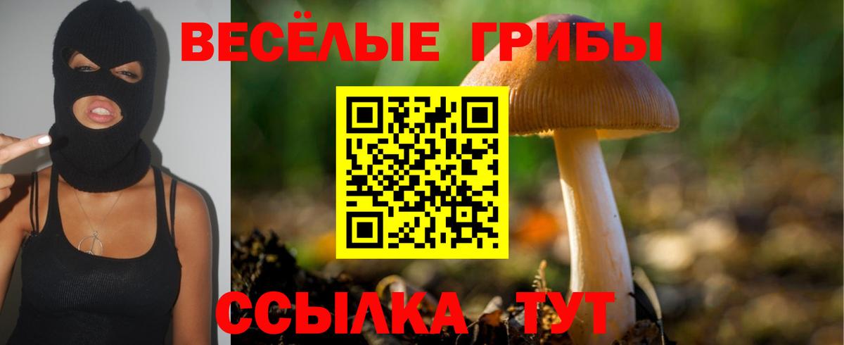 Улан-Удэ  даркнет сайт  Вход с VPN  Галлюциногенные грибы Psilocybe  Галлюциногенные грибы GOLDEN TEACHER 